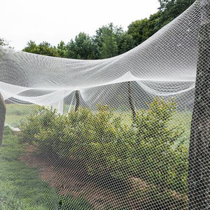 <span class=keywords><strong>Filet</strong></span> de <span class=keywords><strong>protection</strong></span> anti-oiseaux <span class=keywords><strong>pour</strong></span> jardin agricole en HDPE noir traité anti-UV, <span class=keywords><strong>filet</strong></span> de <span class=keywords><strong>protection</strong></span> <span class=keywords><strong>pour</strong></span> <span class=keywords><strong>piscine</strong></span> et étang, <span class=keywords><strong>filet</strong></span> sans nœuds anti-oiseaux - Product Image 6