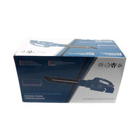 Souffleur d'air électrique sans fil portatif 21V à batterie pour feuilles et cheveux, usage domestique/extérieur, machine à tempête BG BG-BF20Y, garantie 1 an