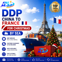Servizio di Trasporto Marittimo dalla Cina alla Francia DDP per Venditori Amazon Prima di Natale