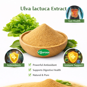 Extracto de <span class=keywords><strong>Ulva</strong></span> <span class=keywords><strong>Lactuca</strong></span>, Polvo de <span class=keywords><strong>Ulva</strong></span> <span class=keywords><strong>Lactuca</strong></span>, Suministro Directo de Fábrica, Certificado por ISO y GMP - Product Image 1