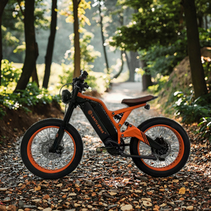 <span class=keywords><strong>Bicicleta</strong></span> <span class=keywords><strong>Eléctrica</strong></span> Todoterreno de Alta Velocidad y Potencia, 2000w, Batería Dual de 52v, en Venta - Product Image 6