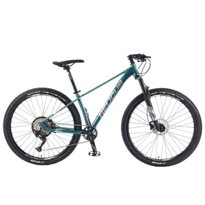 Mens 29inch 12 Speed MTB Cycle Dual Disk Brake Aluminum Alloy Hardtail Mountain Bike For Sale
