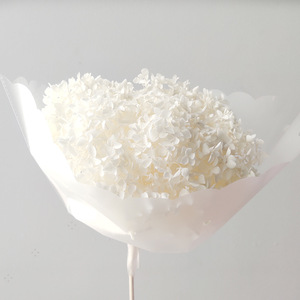 <span class=keywords><strong>Fiori</strong></span> di ortensia Anna all'ingrosso ortensia conservata su pianta di ortensia a stelo in <span class=keywords><strong>vendita</strong></span> - Product Image 3