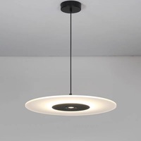 Lustre en fer pour restaurant, LED, lumière chaude, luxe, table à manger îlot, style nordique minimaliste, créatif, installation pour projet de designer