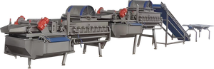 Máquina Industrial para Lavar Hojas de Ensalada 500kg/h - Product Image 2