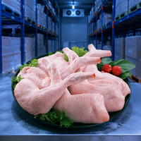 Cuisses de poulet congelées de qualité supérieure, fraîchement transformées, certifiées Halal, pour la vente en gros