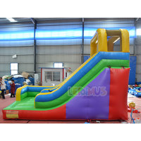 Toboggan Gonflable Sec Personnalisé Maison Gonflable Toboggan Aquatique pour Enfants Adultes avec Souffleur à Vendre