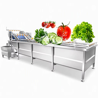 Industriële machines voor het reinigen, drogen en verwerken van verse groenten en fruit, inclusief wasmachine voor gedroogde dadels, te koop.
