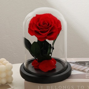 Rosas Eternas Preservadas en Cúpula de Cristal para Regalo de San Valentín/Navidad y Graduación 2026, Venta al Por Mayor - Product Image 4