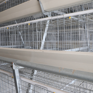 Cage de volaille de pondeuse à batterie automatique de type 4 niveaux <span class=keywords><strong>moins</strong></span> chère et de bonne qualité avec abreuvoir de volaille en plastique pour l'Afrique - Product Image 3