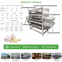 SAIDASHI CE-gecertificeerde automatische kettingknoflookschilmachine voor voedselproductielijn, kettingknoflookpelmachine 400kg/u