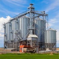 Silos de stockage de céréales en acier galvanisé à chaud, silos boulonnés pour le stockage du blé/de la farine/de l'orge, système de stockage de céréales