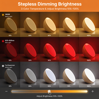 Lampe de table de chevet, chambre à coucher, design moderne, 3 couleurs changeantes, lumière tactile, télécommande, intensité réglable, rechargeable par USB, portable