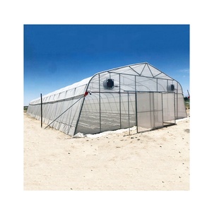 Invernadero de película polivinílica de 200 micras, túnel barato con sistema hidropónico para verduras - Product Image 1