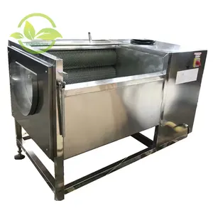 Roller Borstel Gember Pinda Aardappel Tomaat Ui Peeling Wasmachine Groenten En Fruit Reinigingsmachine