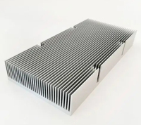 Service de Fabrication de Dissipateurs de Chaleur en Aluminium Anodisé Série 6000 par Usinage CNC et Traitement de Tôlerie Extrudée Personnalisé