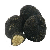 Black Dried Fresh Frozen Truffle