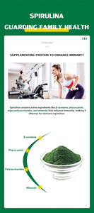 Fonte di fabbrica per uso alimentare microalghe additivo alimentare 60% naturale Base vegetale proteine in polvere di alghe verdi Spirulina organica in polvere - Product Image 4
