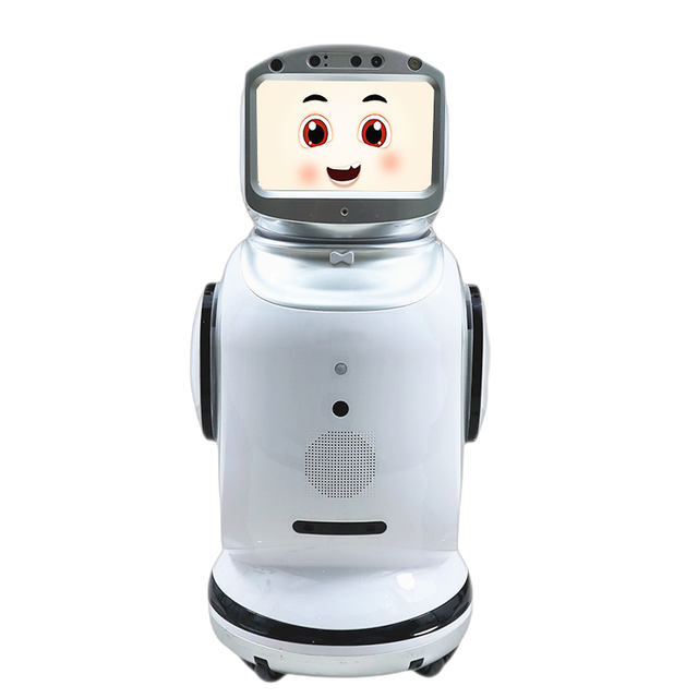 Intelligent Robot Commercial Hotel Dialogue Welcome Reception Accompanying High-tech Service Robot IP65 Rated Wall Mounted 29kg