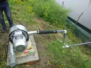 120W Industriële Hogedruk Vacuüm Luchtpomp Vortex Ring Blower Voor Vis Aquacultuur Landbouw