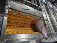 Automatische fruit- en groenteschilmachine voor wortelen en gember