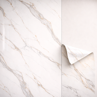 Panneaux muraux 3D en PVC imperméable effet marbre pour la rénovation et la décoration d'hôtels