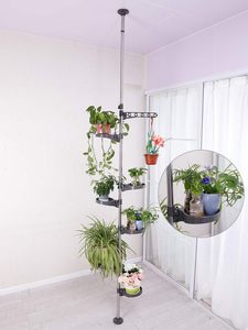 室内植物架花盆展示架可扩展拉力杆浴室转角储物架 - Product Image 2