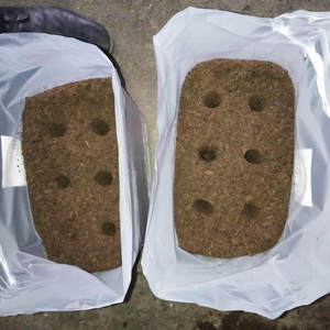 Equipo para el Cultivo de Hongos, Máquina Ensacadora de Hongos Ostra, Ensacadora de Sustrato para Hongos - Product Image 4