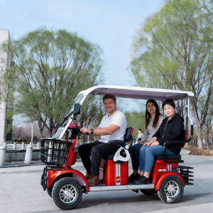 <span class=keywords><strong>Quad</strong></span> électrique 800 Watts pour femmes et personnes âgées, avec protection contre la pluie, tricycle électrique, quadricycle - Product Image 5
