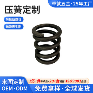 สปริงอัดฮาร์ดแวร์ Zhuojiu สำหรับมือซ้าย มือขวา อุปกรณ์เสริมทั่วไป รับผลิตแบบ OEM ODM - Product Image 4