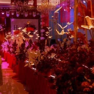 Nouveau style, 5 têtes de papillons en acrylique, lumières LED lumineuses pour allée, éclairage de scène pour mariage, décoration d'événements - Product Image 5