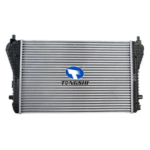 TONGSHI – <span class=keywords><strong>Intercooler</strong></span> de voiture pour AUDI A3 S3 8P 1.6 TDI 03- OEM - Product Image 2
