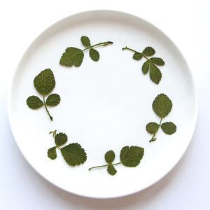 Feuilles de <span class=keywords><strong>fraise</strong></span> sauvage séchées et pressées naturelles pour le scrapbooking, la création de cartes, la décoration artisanale, véritable spécimen végétal - Product Image 2