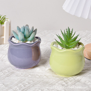 Maceta de pared creativa con diseño de macaron, transpirable, luminosa, estilo pastoral fresco, <span class=keywords><strong>para</strong></span> <span class=keywords><strong>cactus</strong></span> <span class=keywords><strong>y</strong></span> <span class=keywords><strong>suculentas</strong></span> - Product Image 4