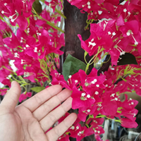 Pohon Bougainvillea Pohon Bunga Bougainvillea Bunga Buatan Dekorasi Luar Ruangan Dekorasi Pernikahan Sutra 5 Tahun Warna Merah