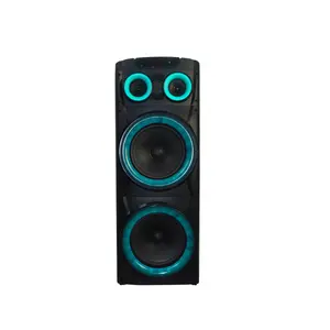 Temeisheng professional audio speaker lcd for nokia 5235 10 inch speaker mid bass