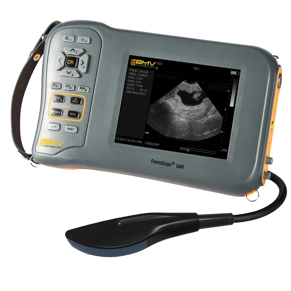 Early Pregnancy Diagnosis Linear Rectal Probe Handheld Ultrasound Machine For Sale