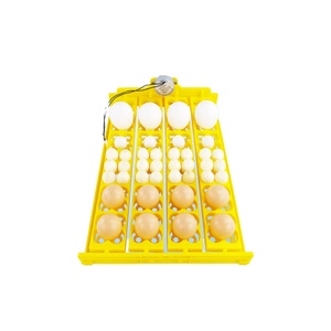 Mini Tray Automatic Hatching <b>Egg</b> <b>Incubator</b> with 110V/220V Compatibility 1-Year Warranty for Birds & Reptiles - Product Image 4