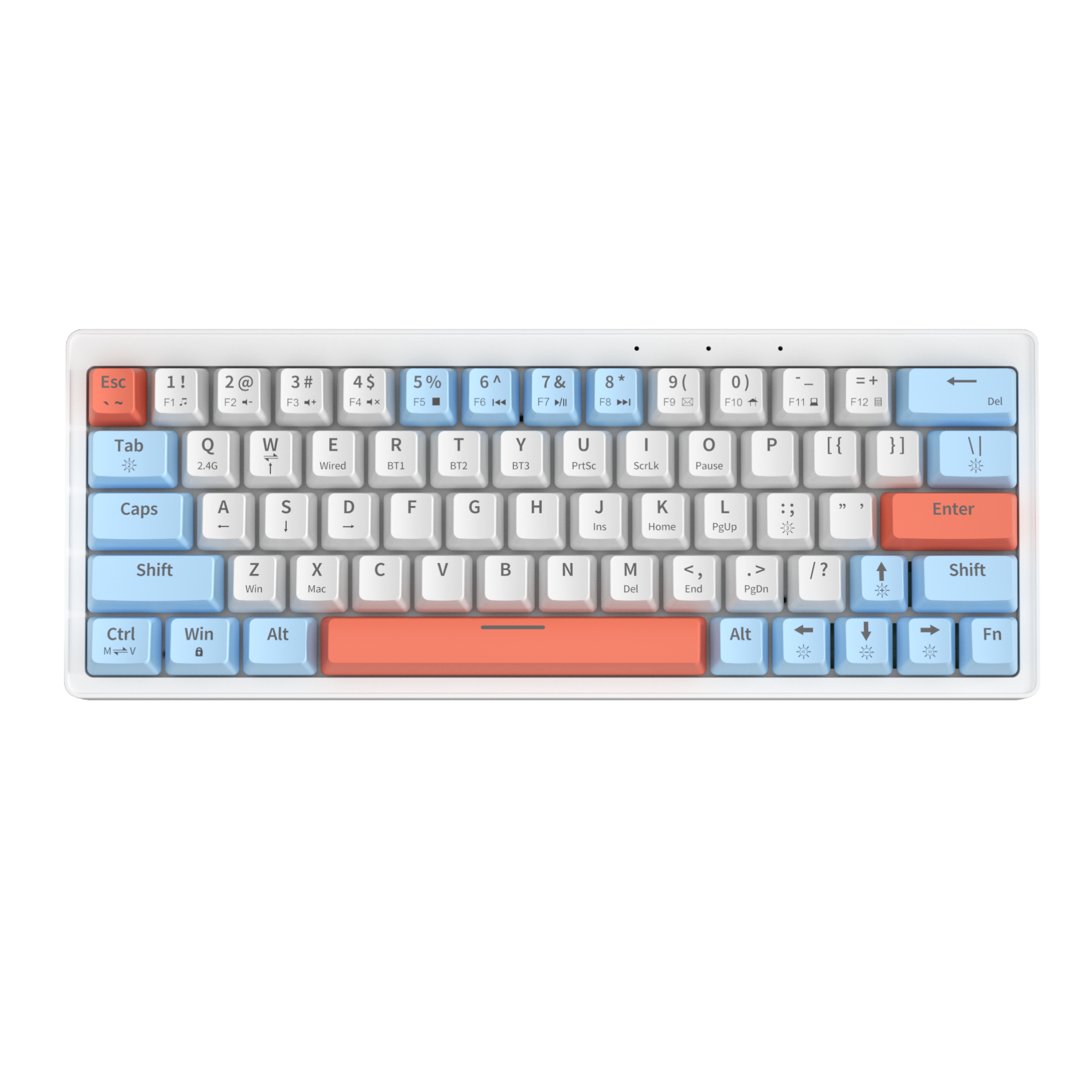 white-blue