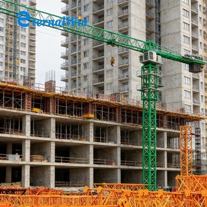 رافعة برجية صغيرة ذاتية التركيب QTZ10 بحمولة 1 طن وQTZ25 بحمولة 2 طن شائعة في البرازيل للبيع - Product Image 5