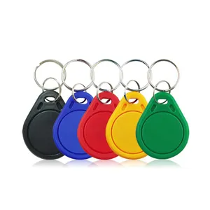 Anahtarlık ile 125KHz LF LF Keychain/13.56MHz HF F08 RFID etiketi yeniden yazılabilir Keyfob