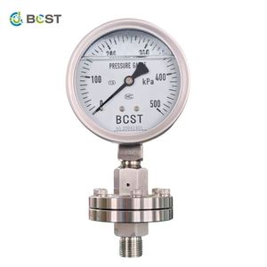 Jauges industrielles robustes BCST pour les applications aériennes, aquatiques et pétrolières - Product Image 4