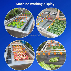 Machine à laver à bulles multifonctionnelle commerciale pour laver la viande, le chou, les légumes à feuilles, le melon - Product Image 2