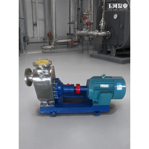 Bomba centrífuga de circulación de aceite caliente de hierro fundido YUHE, refrigerada por aire a alta temperatura para sistema de aceite térmico de caldera - Product Image 2