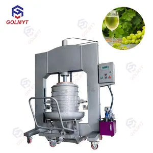 Automático máquina de suco de frutas presser para a um preço competitivo