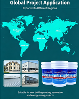 Peinture liquide acrylique réfléchissante thermique pour isolation solaire, imperméable, pour toitures et murs extérieurs, à appliquer au pinceau – Fournisseur d'usine