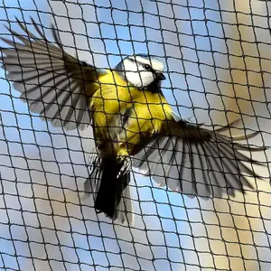 صديقة للبيئة الزراعية الطيور المعاوضة مكافحة الطيور صافي حماية الطيور المعاوضة شبكة مكافحة صافي