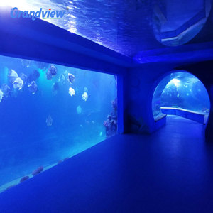 تونل سمك حوض سمك من الأكريليك الشفاف عالي الجودة من مصنع توريد Grandview - Product Image 1