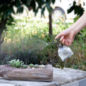 Pulvérisateur en verre pour plantes, petit arrosoir avec pompe en bronze, arrosoir rétro en verre vintage, mini arrosoir - Product Image 6