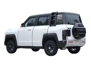 Nouveau véhicule électrique compact 2025 pour adultes, à basse vitesse, à vendre, haute performance - Product Image 3
